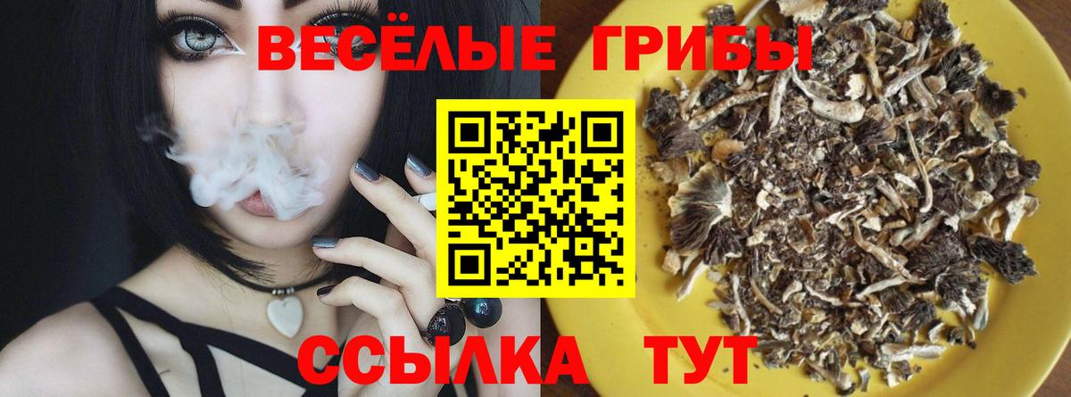 Сухой Лог  Галлюциногенные грибы Magic Shrooms  Галлюциногенные грибы Cubensis  Вход с VPN 