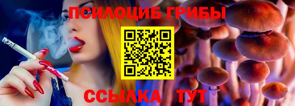 Псилоцибиновые грибы MAGIC MUSHROOMS Сухой Лог